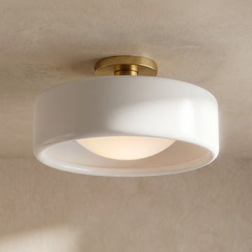 Livislight Ceiling Lights